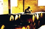 Beer Kegs