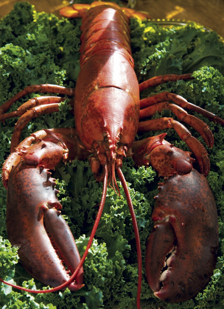 Easy Entertaining — A Lobster Feast (party planning & recipes) Food