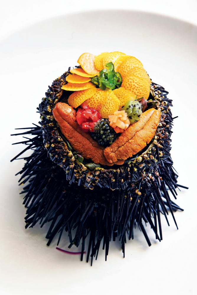 Polynesian Sea Urchin