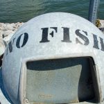 IMG_8198-300×300
