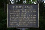 Bluelicks Buffalo Trace