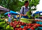 Farmers’ Market Shopping