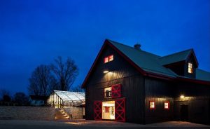 Barn8’s Alison Settle has New Year’s braised greens and cornbread recipes