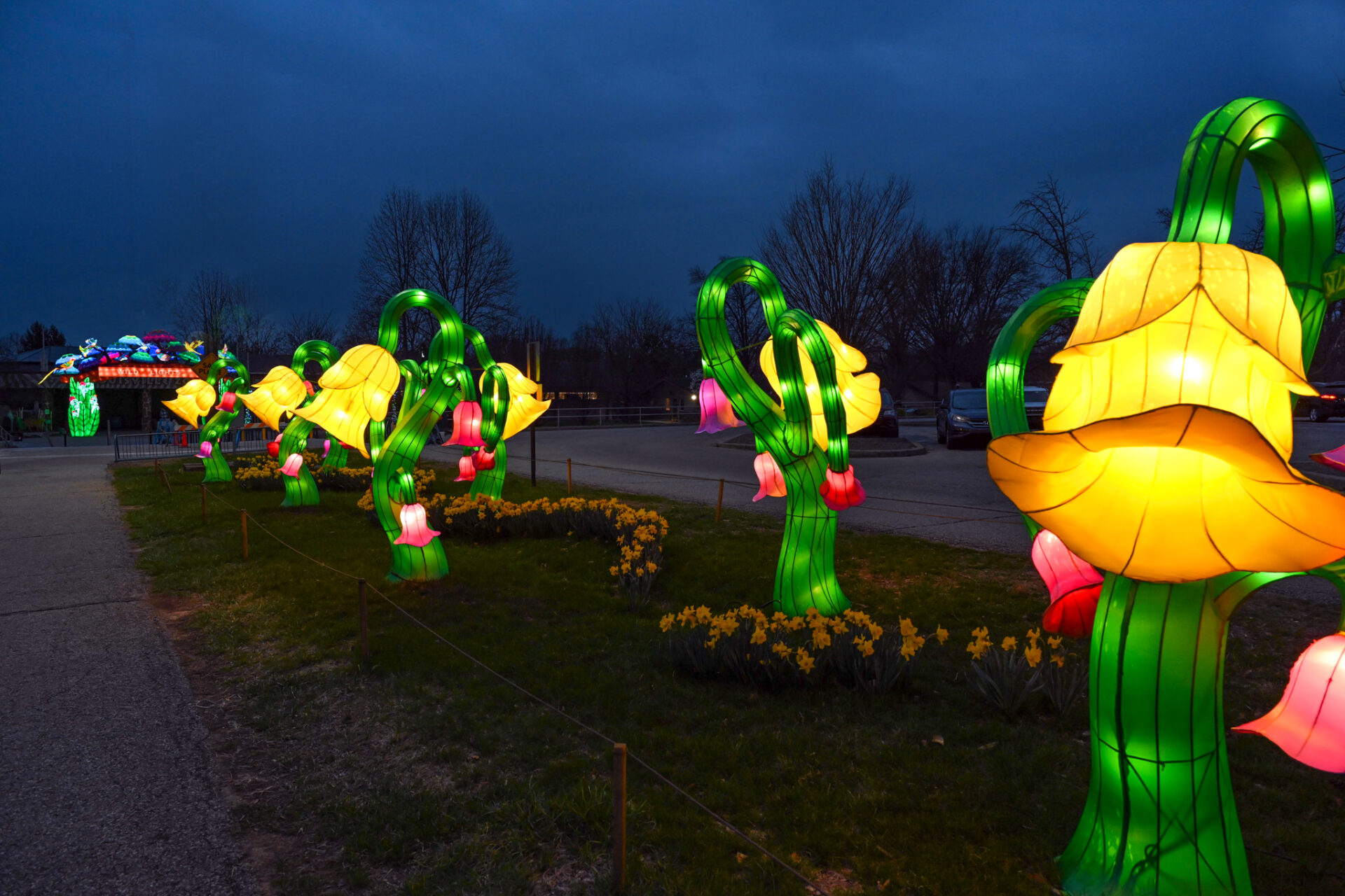 The Louisville Zoo’s Wild Lights event, with themed snacks and